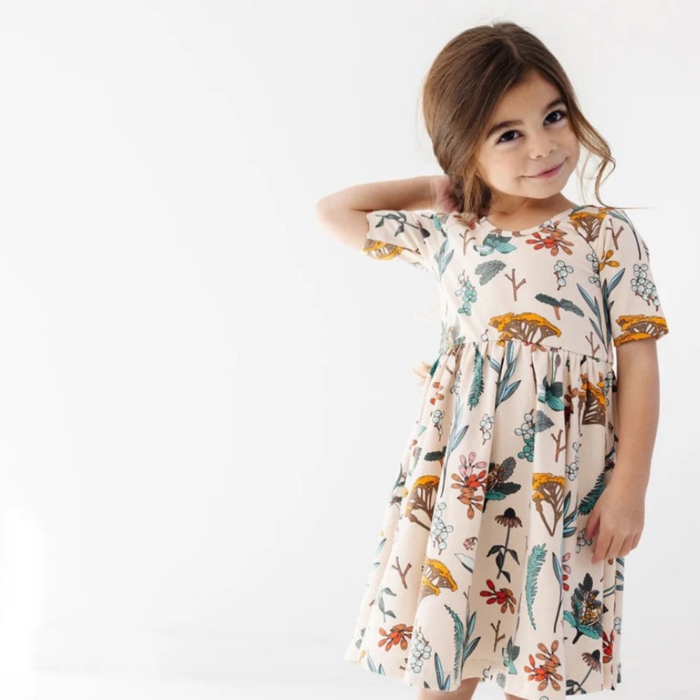 Alice + Ames Ballet Dress